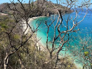Bare tree branches frame a turquoise coastline with a sandy beach, rocky cliffs, and hillside homes.