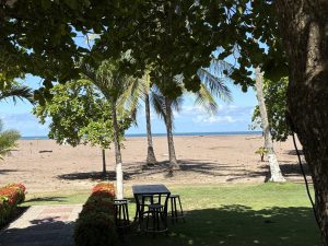 Tropical beach view with palm trees, a shaded garden seating area, and the ocean visible in the distance under a clear sky, Jaco Beach, Costa Rica
