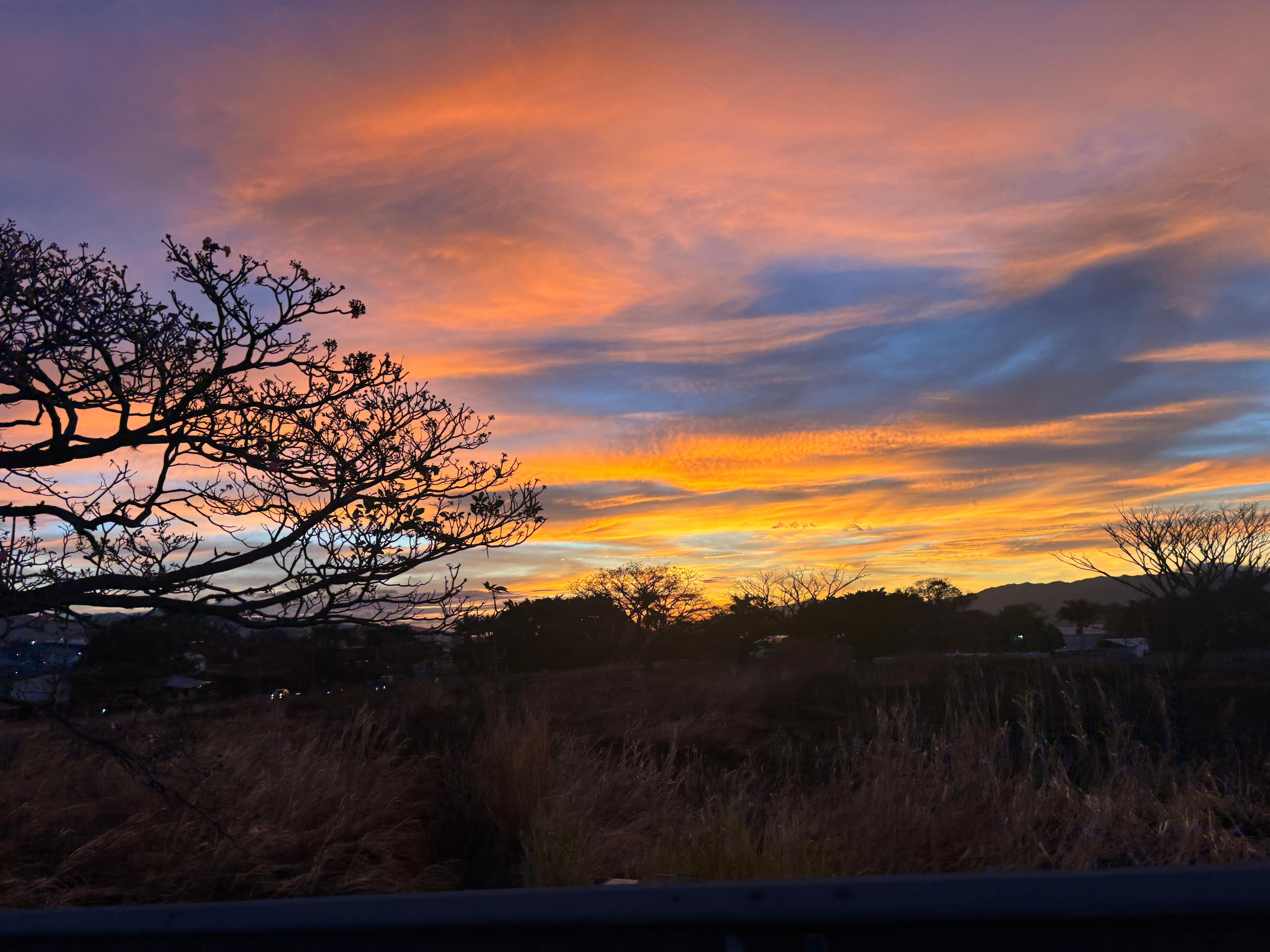 Colorful sunset with orange, pink, and blue clouds above a grassy landscape, silhouetted trees, and distant hills.