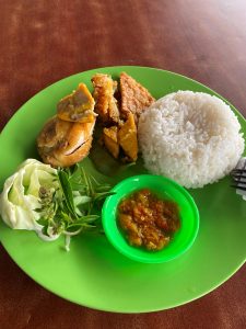 A comforting Indonesian-style plate of rice, fried chicken, tempeh, tofu, fresh greens, and spicy sambal.
