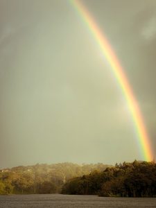 A bright rainbow arches over a lake bordered by trees, with calm water in the foreground and a pale sky above
