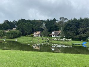 Calm lake reflecting houses, surrounded by green lawns, flower beds, trees, and small boats under an overcast sky.