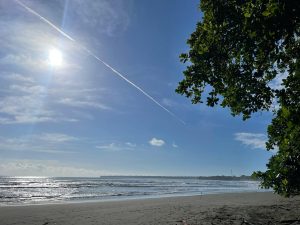 Sunny beach with gentle waves, sparkling ocean, blue sky, and green trees along the shore.