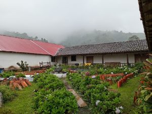 Rainy courtyard with colonial buildings, a stone fountain, and hydrangeas.
