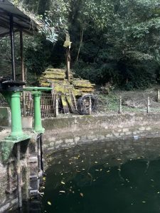 Still dark pond with green water pumps in the foreground, bordered by a stone wall and surrounded by dense forest foliage, moss-covered logs, and scattered fallen leaves.