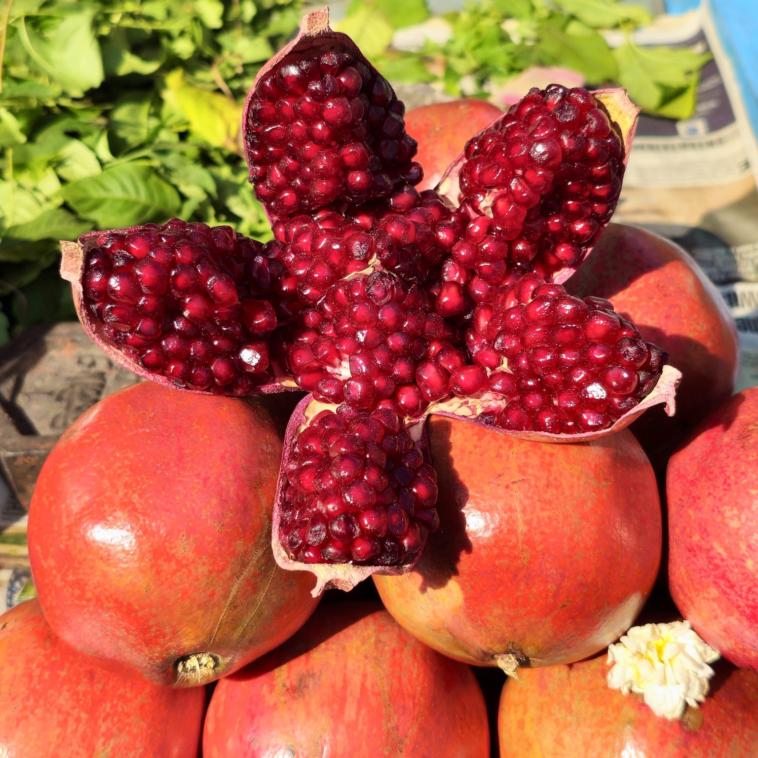 Fresh pomegranates are displayed at a fruit stall, with one fruit opened to reveal its bright red, juicy seeds. The rich colors and textures make the fruit look fresh and delicious. Captured in Pune, Maharashtra.