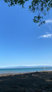 A serene coastal scene with a calm turquoise ocean, sandy beach, scattered rocks, lush foliage, a distant hazy mountain range, and a small boat floating under a clear blue sky.