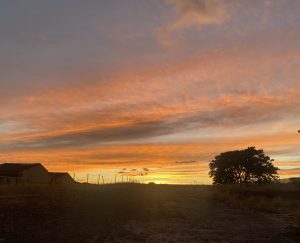 Colorful sunset with orange and pink clouds above silhouetted trees and rural buildings.
