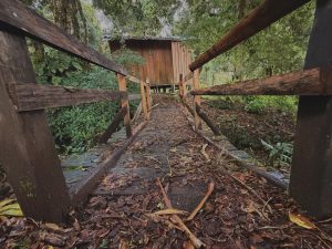 Rustic wooden bridge leading to a small cabin surrounded by lush forest.