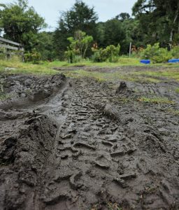A close-up view of muddy tire tracks leading through a rural landscape after rainfall.