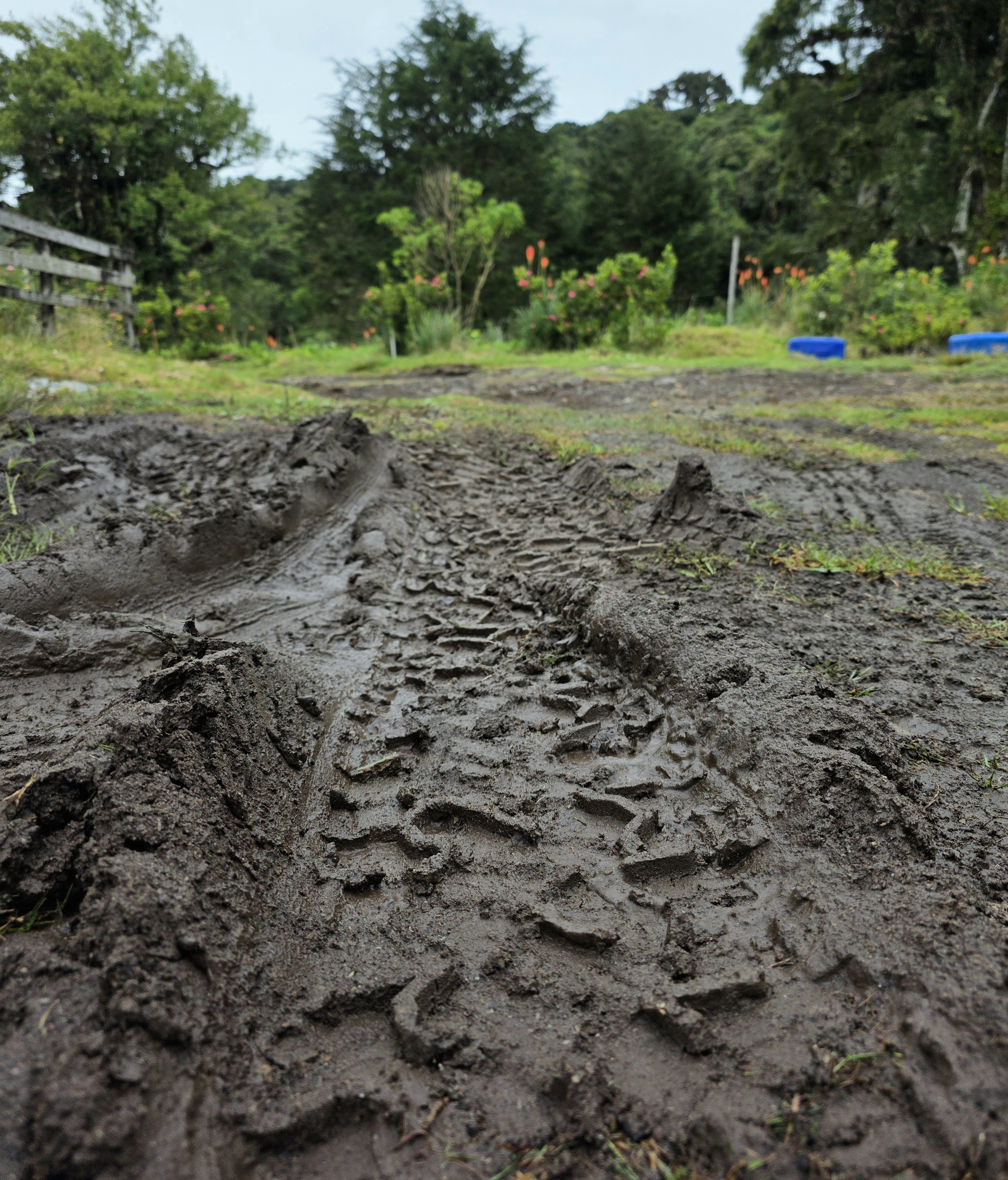 A close-up view of muddy tire tracks leading through a rural landscape after rainfall.
