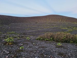 A rocky volcanic landscape with dark soil and small green plants. The terrain has curved slopes and visible lines of vegetation across the ground. The sky above is light blue with soft clouds.