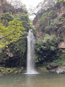 Hidden waterfall cascading into a natural pool in the Costa Rica tropical rainforest