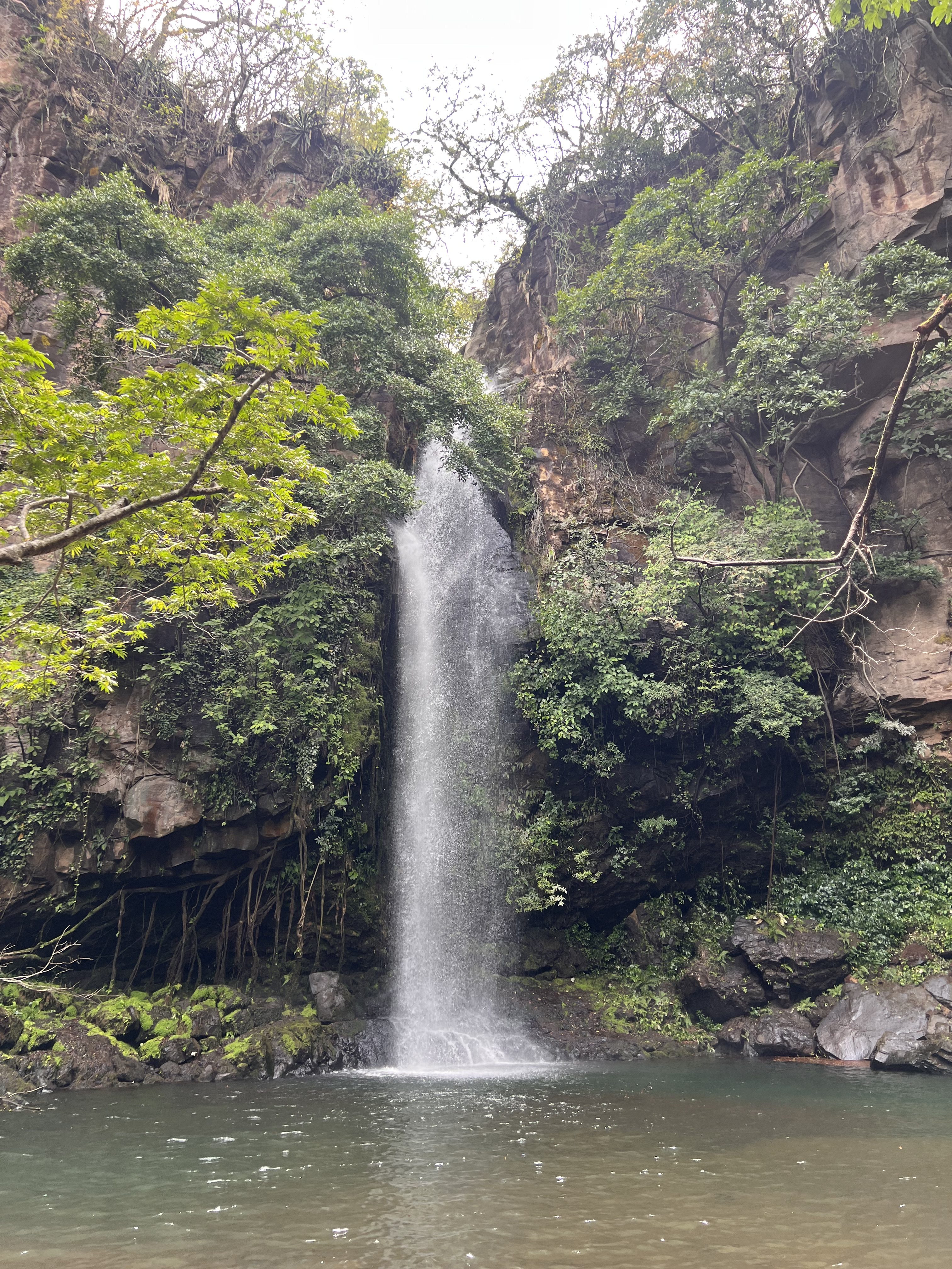 Hidden waterfall cascading into a natural pool in the Costa Rica tropical rainforest