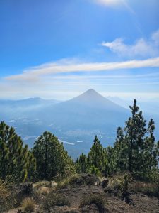 A breathtaking mountain view with pine trees in the foreground and a majestic volcano fading into the bright, hazy distance
