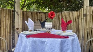 Romantic outdoor dining setup featuring white tableware, decorative folded napkins, a red rose centerpiece, and a natural bamboo backdrop surrounded by lush greenery.