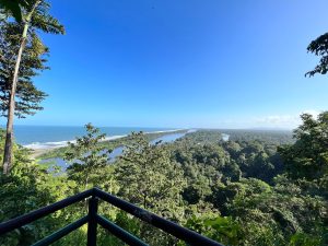 River flowing through a tropical rainforest toward the coastline under a clear blue sky.
