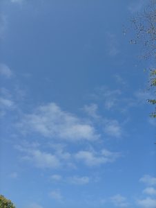 A beautiful blue and white clear sky with leaves at the side showing a brighter day 
