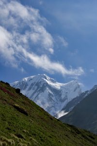 Snow-covered mountain peak behind a green slope dotted with pink wildflowers, clouds streaking across the sky