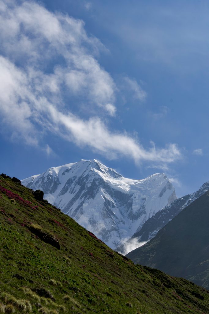 Snow-covered mountain peak behind a green slope dotted with pink wildflowers, clouds streaking across the sky