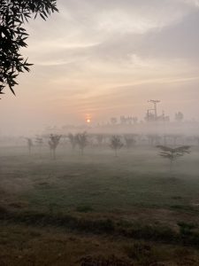 
A serene outdoor scene at dawn, featuring a soft mist that blankets a grassy field. In the background, silhouettes of trees stretch across the landscape, partially obscured by the fog.