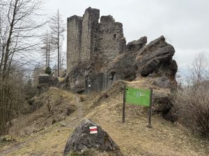 Wildschloss above Vaduz, Liechtenstein, a historic hilltop castle ruin overlooking the Rhine Valley and surrounded by forested mountain landscapes.
