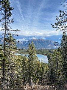 Tall evergreen trees frame a scenic mountain landscape, with a calm blue lake nestled below in a dense forest valley. In the distance, broad gray mountains rise beneath a bright sky filled with sweeping clouds. The elevated viewpoint creates a peaceful, expansive view of the wilderness.