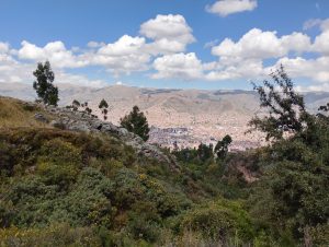 View of Cusco, Peru, from near Qenqo, with rocks, native plants, and the city in the valley.