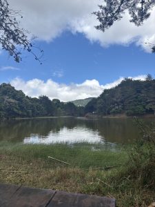 Calm freshwater lake surrounded by evergreen forest, rolling hills, and a blue sky with white clouds.