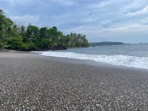 Black pebble beach with calm blue waves, green trees, and a rocky coastline.