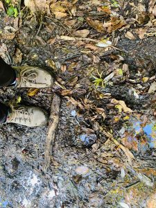 Hiking boots standing on a muddy forest trail covered with wet leaves, small puddles, and fallen branches after rainfall.
