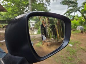 White moth on a wet car side mirror, reflecting a blurred outdoor scene with trees and a road.
