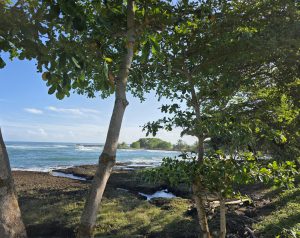 A tropical rocky shoreline framed by lush coastal trees with gentle ocean waves under a clear blue sky.