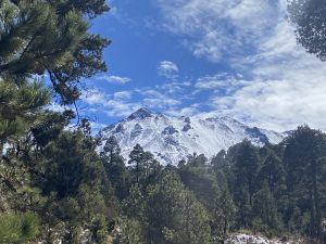 View of Nevado de Toluca, a volcanic mountain in central Mexico. The snow-covered summit rises above a forest of pine trees beneath a bright blue sky with scattered clouds.