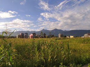 Mustard Field - Golden cornfield in the foreground with colorful houses and towering mountains beneath a bright blue sky dotted with fluffy white clouds.