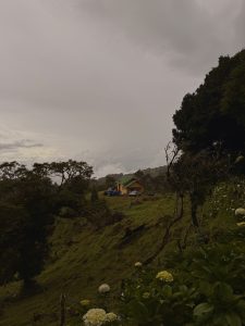 A scenic mountain landscape featuring a cozy cabin perched on a grassy hillside beneath dramatic, rain-filled skies. Surrounded by towering trees, blooming hydrangeas, and rolling green hills, the image captures the peaceful atmosphere and natural beauty of a remote countryside retreat.
