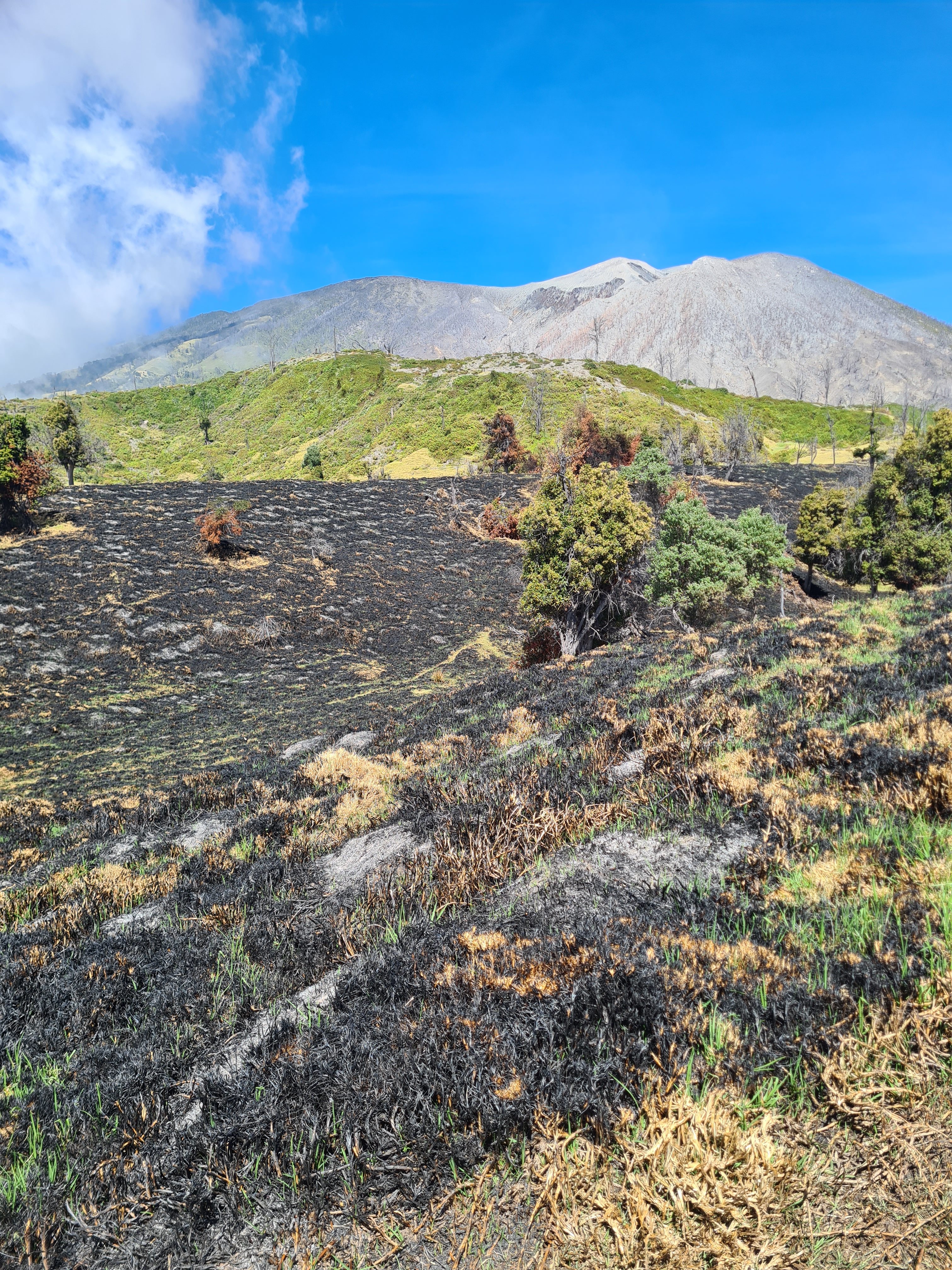 A volcanic mountain with burned grass, green shrubs, and a bright blue sky.