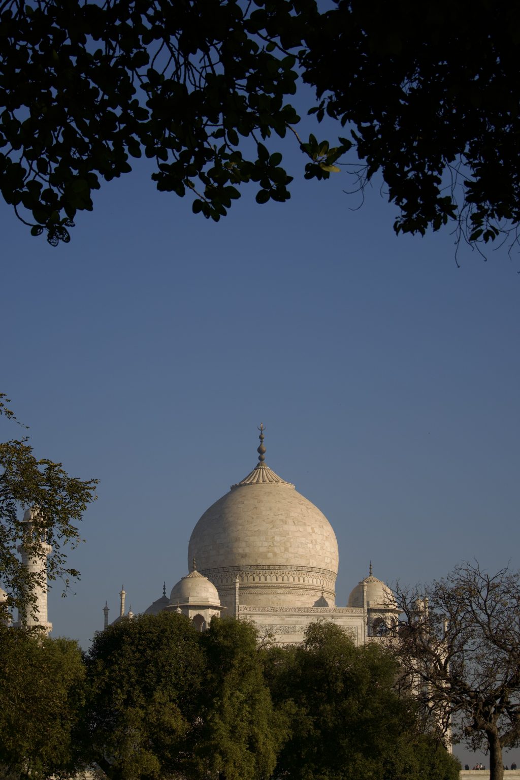 The Taj Mahal’s white marble dome is framed by dark tree silhouettes against a clear blue sky, conveying a serene and majestic atmosphere.