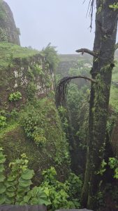 A misty landscape features ancient stone walls covered in green moss and climbing plants, creating a texture of vibrant greenery. 
