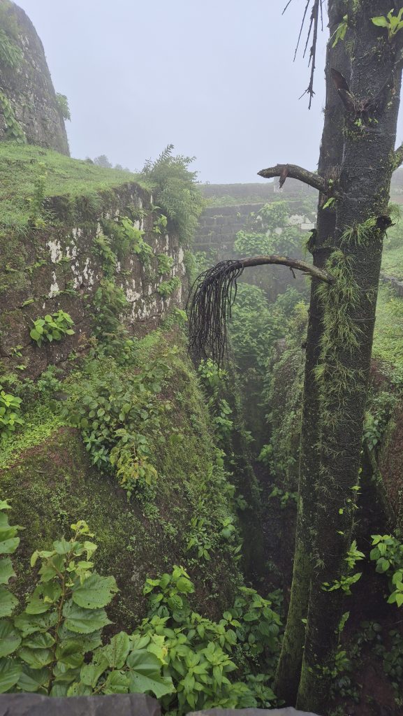 A misty landscape features ancient stone walls covered in green moss and climbing plants, creating a texture of vibrant greenery.