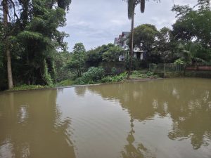 Murky water reflects a lush green bank with a white multi-story building and dense trees under a cloudy sky.
