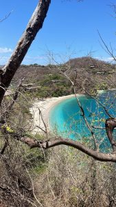 A serene coastal landscape unfolds, featuring a secluded beach that curves gently along the shoreline. 
