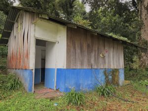 Rustic wooden building with a blue foundation surrounded by lush forest vegetation