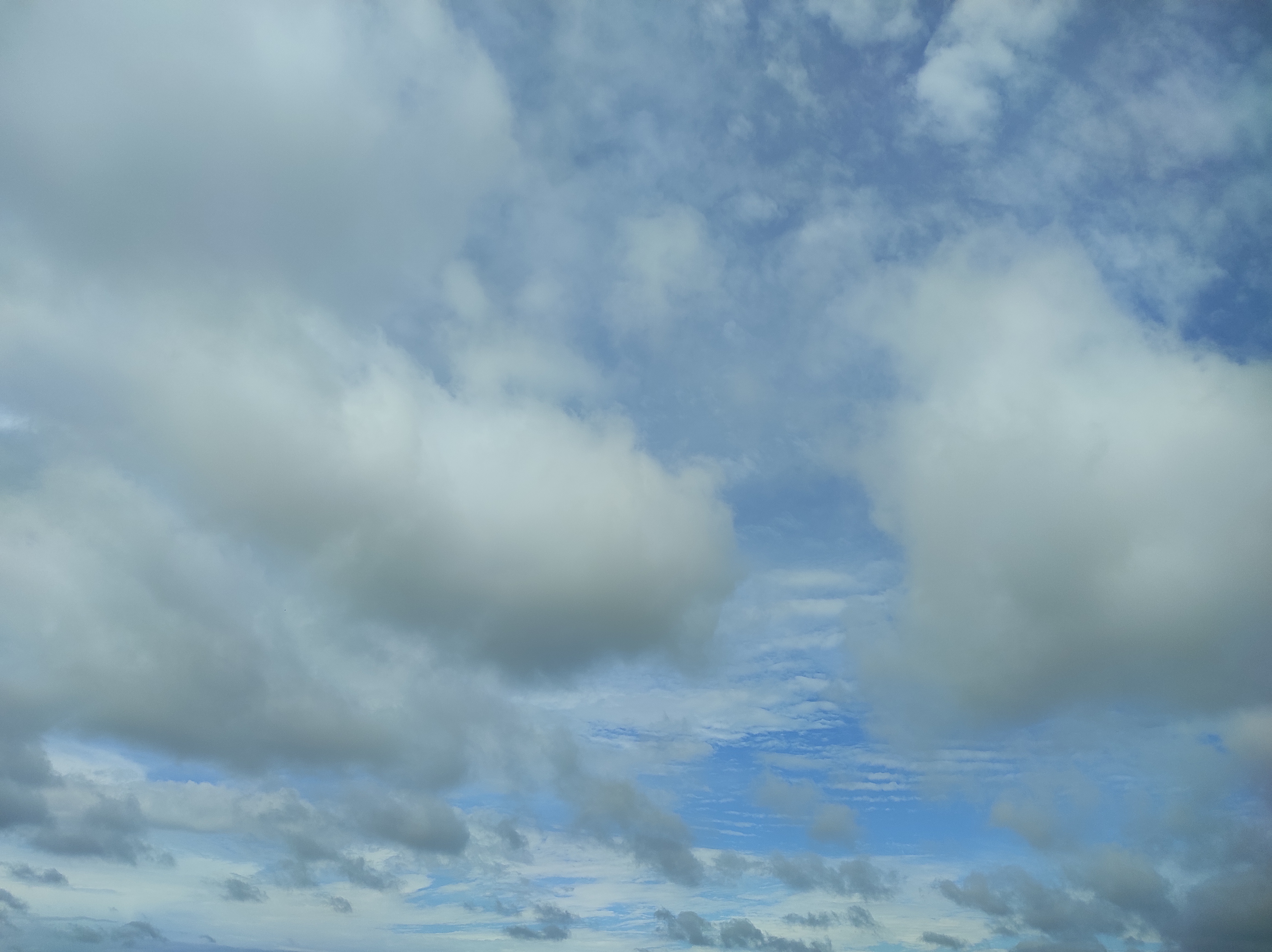 A wide view of a light blue sky heavily filled with thick white and grey clouds during a cloudy, overcast day.