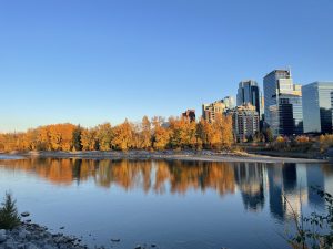 The image captures a scenic view of a river bordered by vibrant autumn foliage. On the left, clusters of trees display brilliant shades of orange and yellow, creating a warm, inviting atmosphere. The river reflects the colorful trees and a clear blue sky, enhancing the serene landscape. On the right, a modern city skyline rises with tall buildings,
