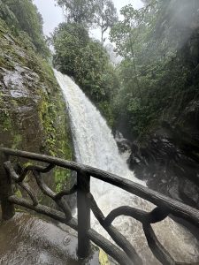 A beautiful waterfall flowing through the lush rainforest at La Paz Waterfall, Costa Rica, surrounded by tropical plants and clear water.