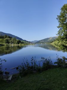 A calm, blue lake reflecting green, forested hills under a clear blue sky. Wildflowers and grassy banks frame the foreground, while a small village sits nestled on the distant shoreline.
