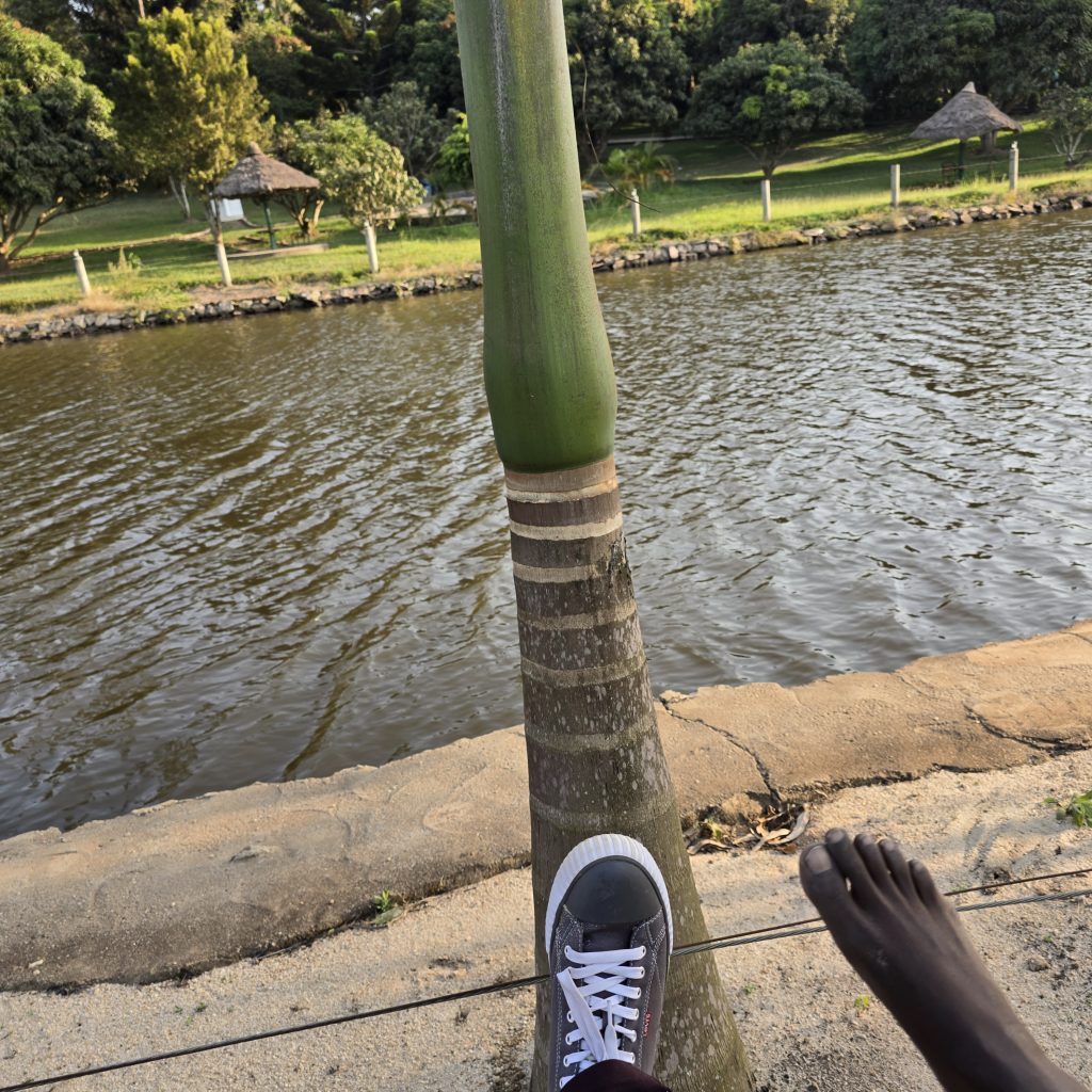 A photo of two human feet posing, one in converse shoes and another bare foot posing in front of a palm tree.