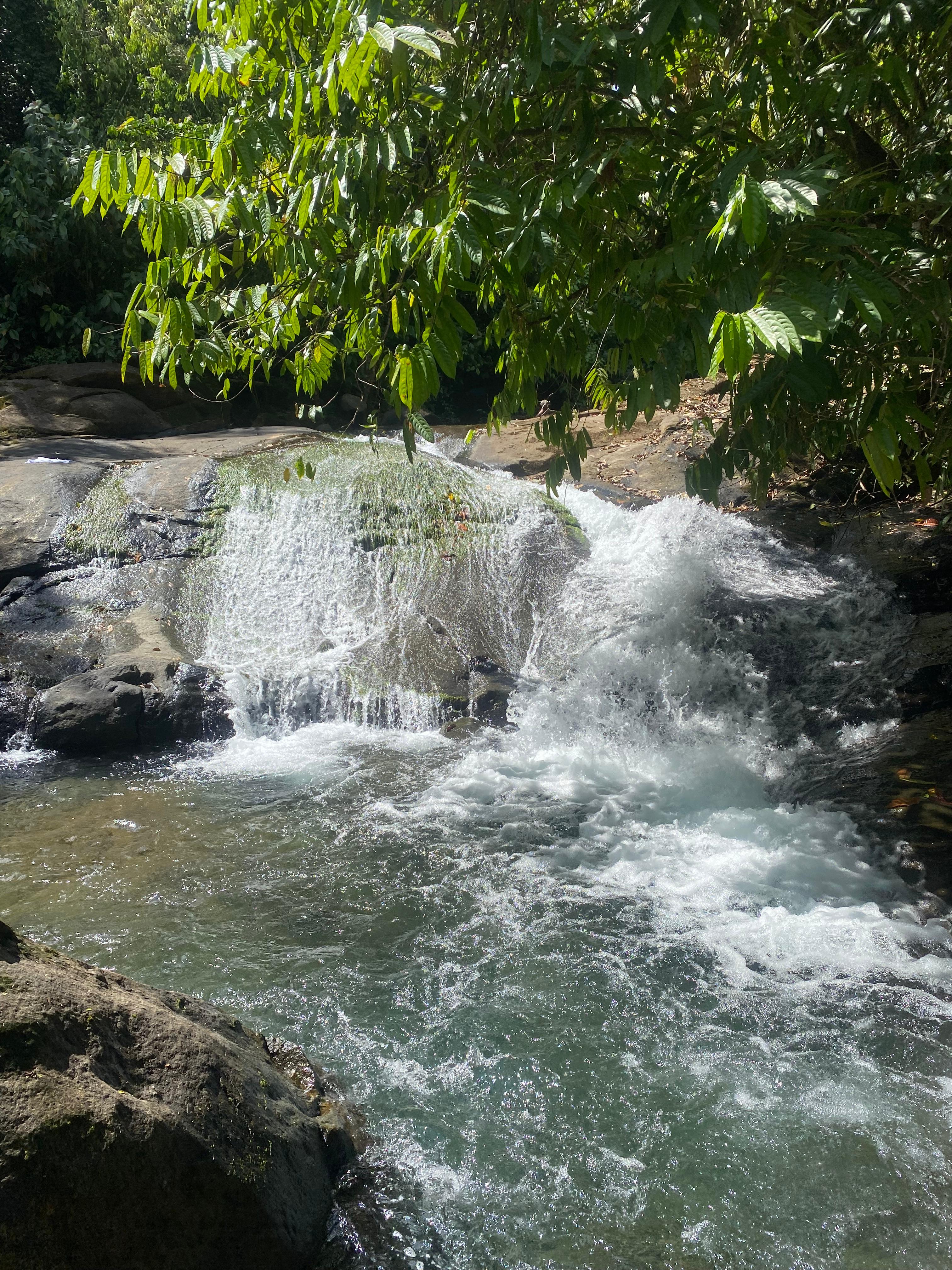 Small waterfall flowing over smooth rocks in a clear stream surrounded by lush green leaves.