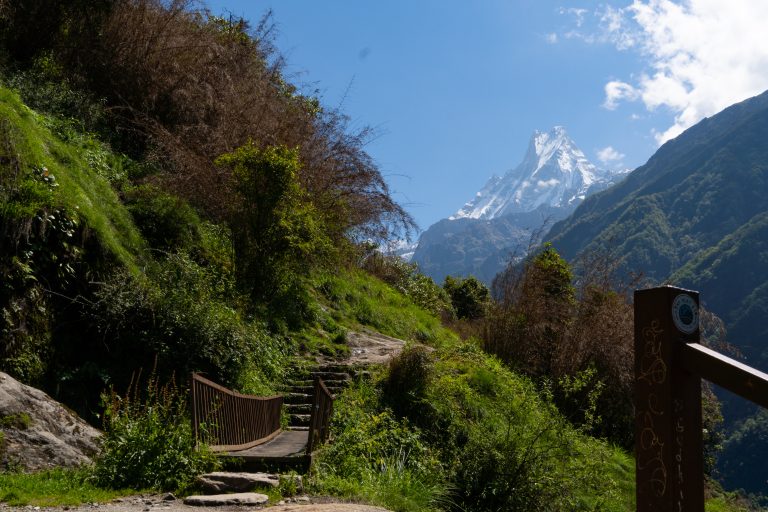 Wooden stairway with railing on a green hillside trail, with a jagged snow-capped peak visible in the distance